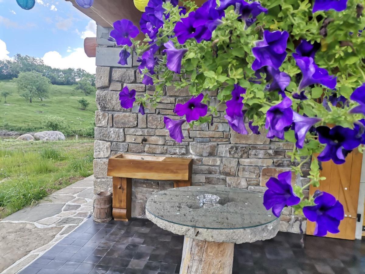 Cabana Casa De Piatra, De La Mara Deseşti 外观 照片