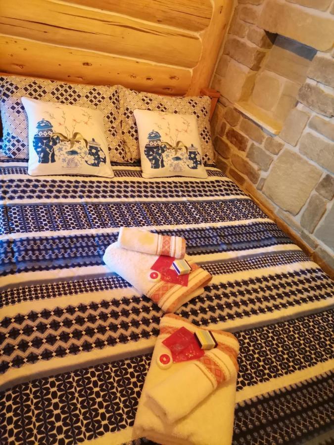 Cabana Casa De Piatra, De La Mara Deseşti 外观 照片