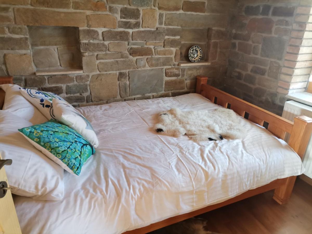 Cabana Casa De Piatra, De La Mara Deseşti 外观 照片