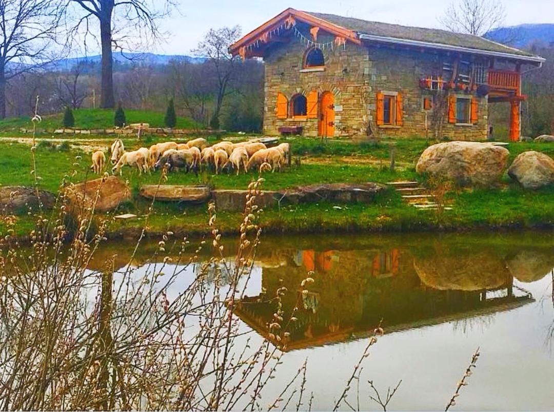 Cabana Casa De Piatra, De La Mara Deseşti 外观 照片